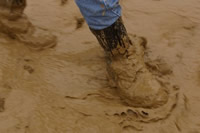 Muddy Boots